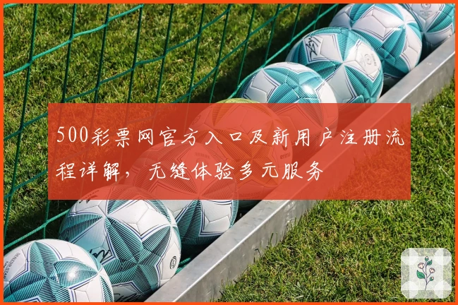 500彩票网官方入口及新用户注册流程详解，无缝体验多元服务